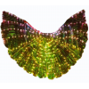 LED illuminated wings